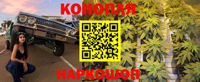 прущие крисы Краснодар